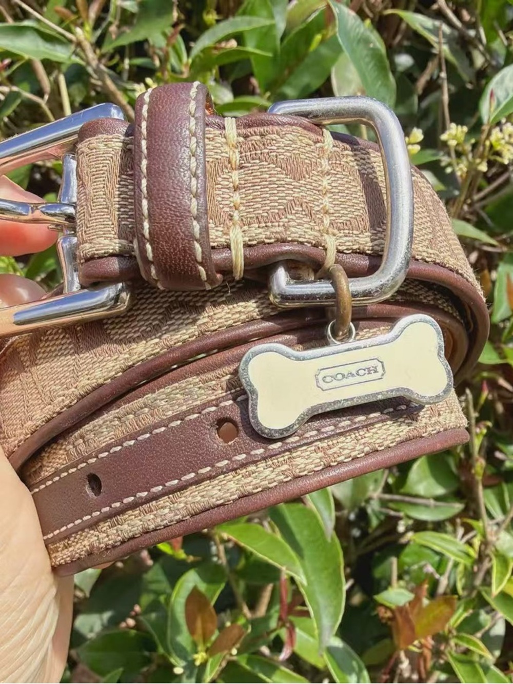 Coach Vintage Signature Canvas & Leather Dog Collar Brown with Bone Charm - Picture 1 of 8